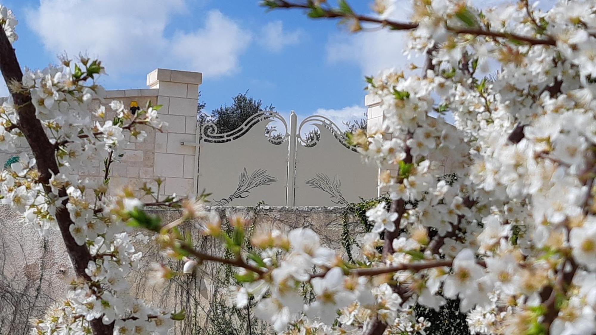 Villa Karmel Valle D'Itria Cisternino Zewnętrze zdjęcie