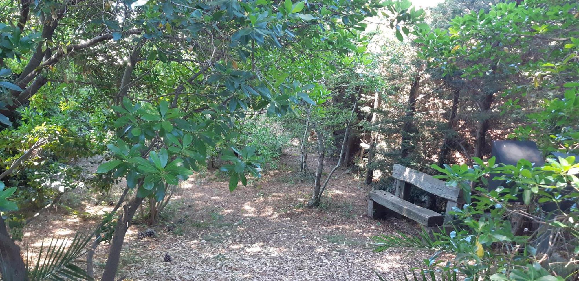 Villa Karmel Valle D'Itria Cisternino Zewnętrze zdjęcie